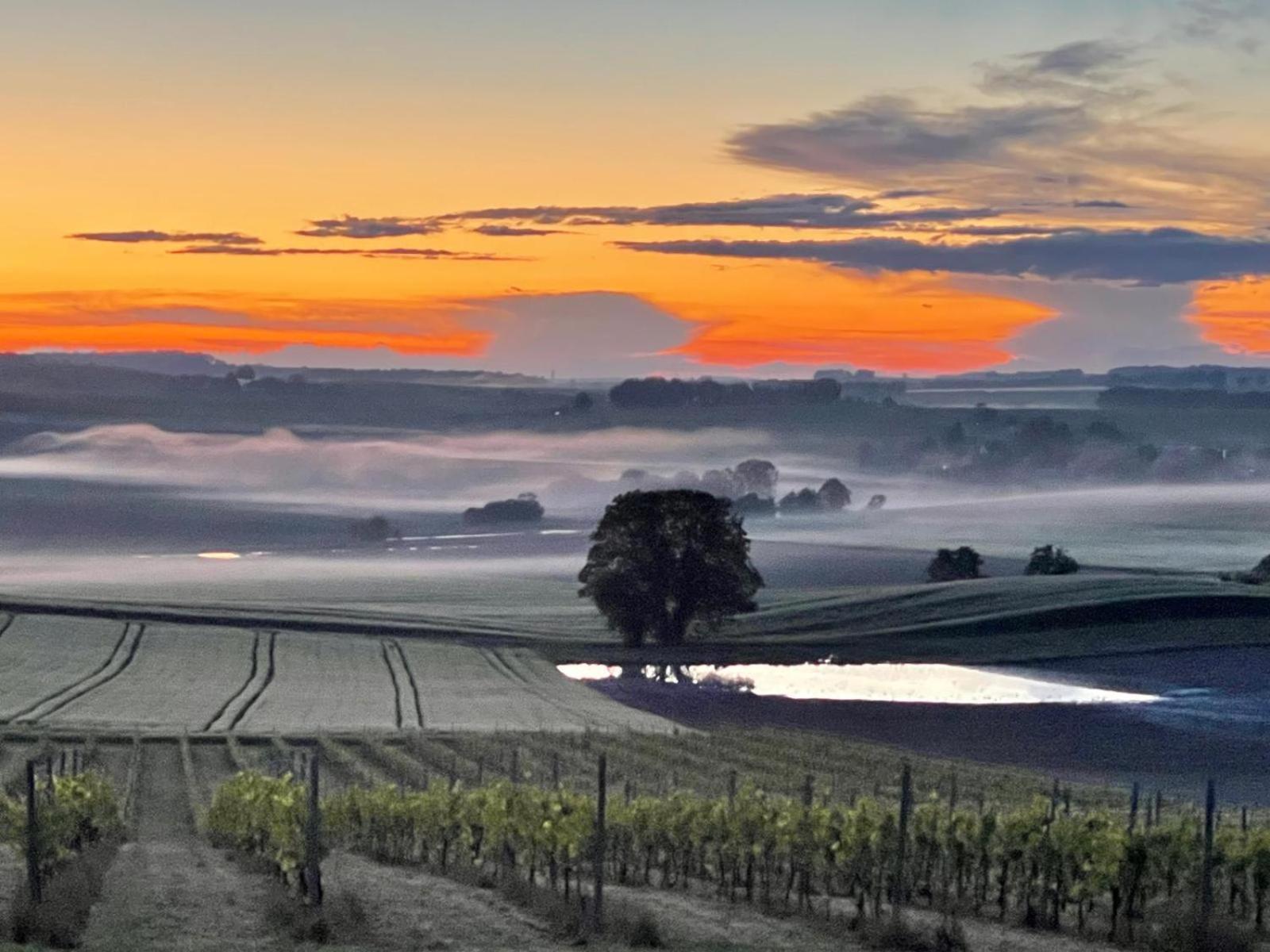 Paradis Des Vignes Birac  Oda fotoğraf
