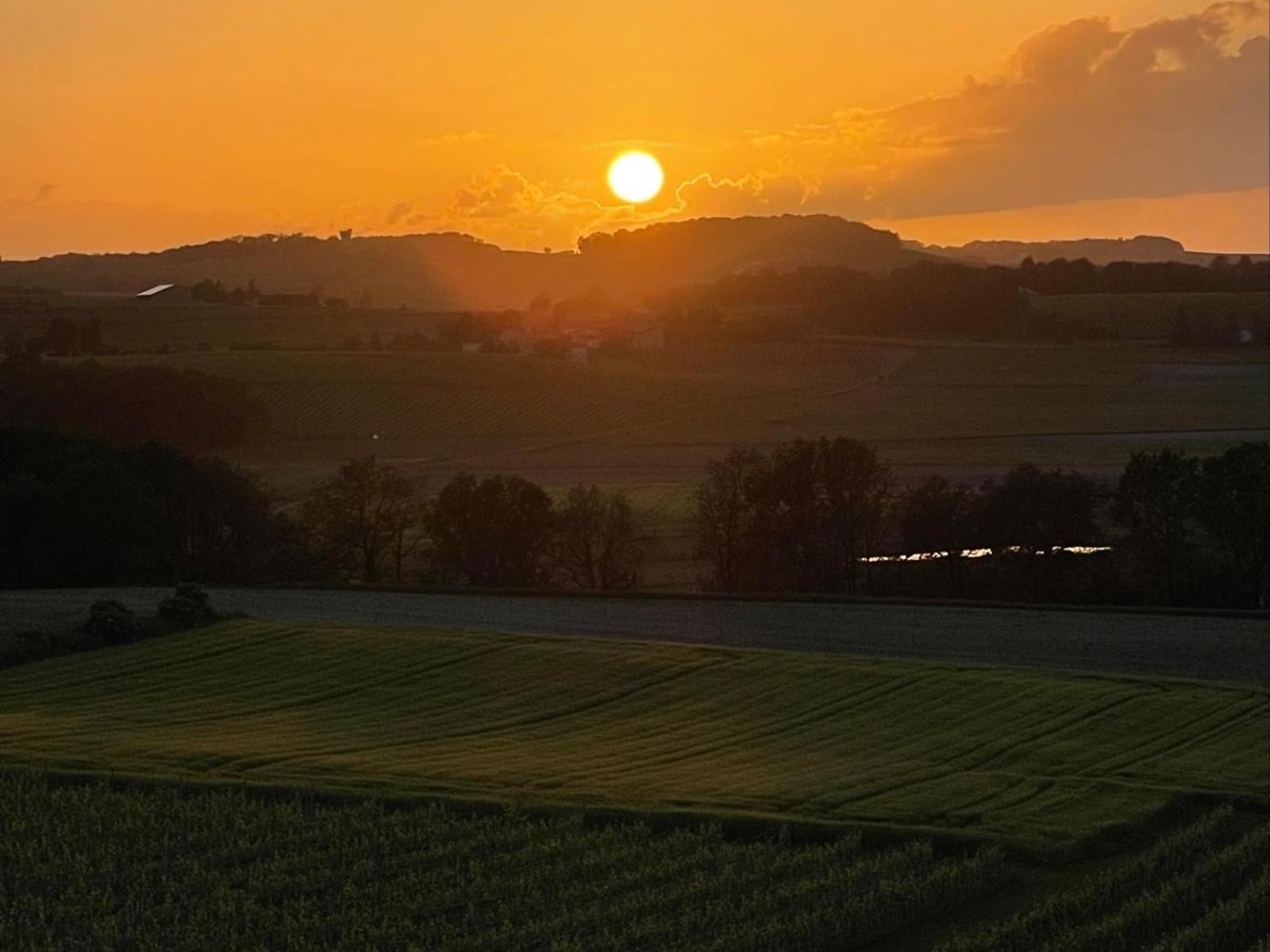 Paradis Des Vignes Birac  Oda fotoğraf